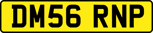 DM56RNP