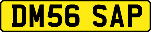 DM56SAP