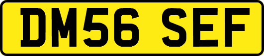 DM56SEF