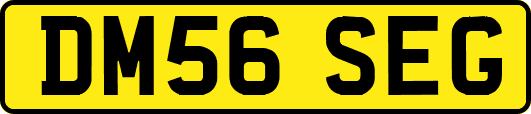 DM56SEG