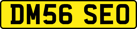 DM56SEO