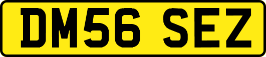 DM56SEZ