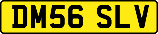 DM56SLV