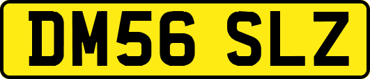 DM56SLZ