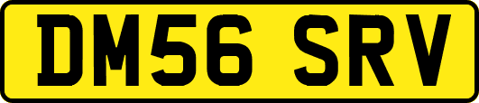 DM56SRV