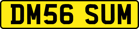 DM56SUM