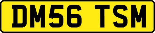 DM56TSM