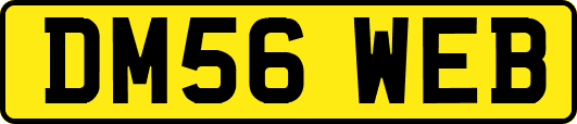 DM56WEB