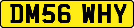 DM56WHY