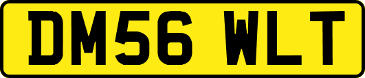 DM56WLT