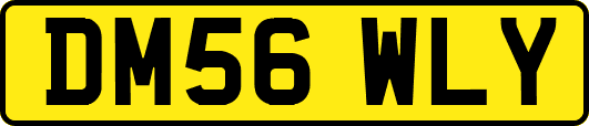 DM56WLY