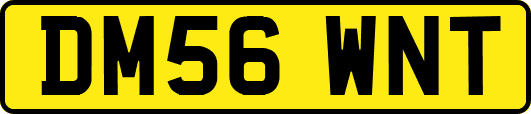 DM56WNT