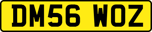 DM56WOZ