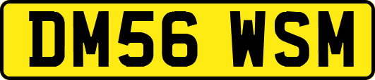 DM56WSM
