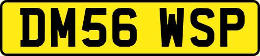 DM56WSP