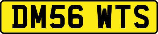 DM56WTS
