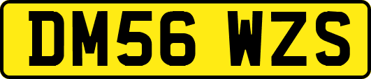 DM56WZS