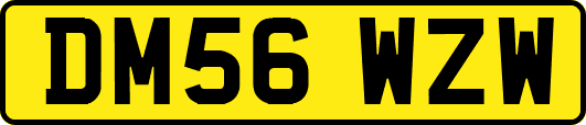 DM56WZW