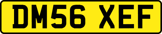 DM56XEF