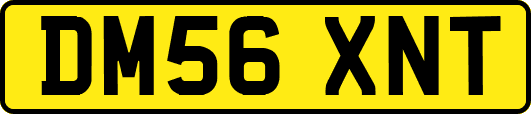 DM56XNT