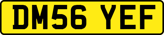 DM56YEF