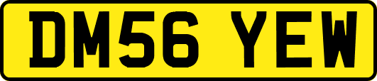 DM56YEW