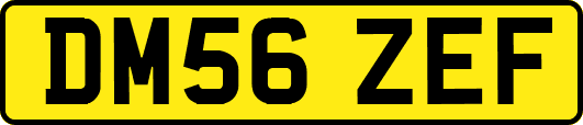 DM56ZEF