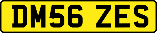 DM56ZES