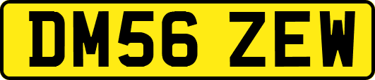 DM56ZEW