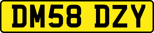 DM58DZY