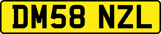 DM58NZL