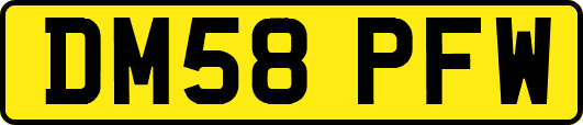 DM58PFW