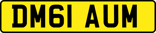 DM61AUM