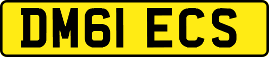 DM61ECS