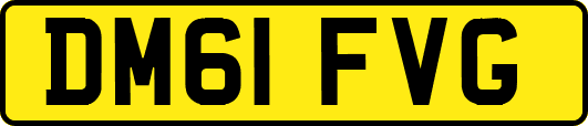DM61FVG