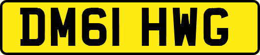 DM61HWG
