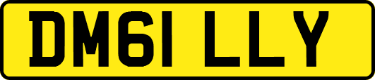 DM61LLY