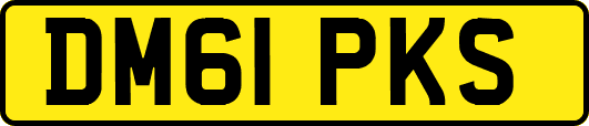 DM61PKS