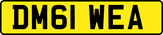 DM61WEA