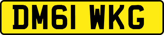 DM61WKG