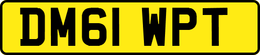 DM61WPT