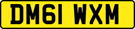 DM61WXM