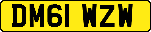 DM61WZW