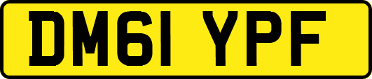 DM61YPF