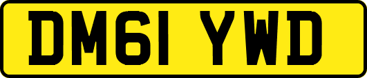 DM61YWD