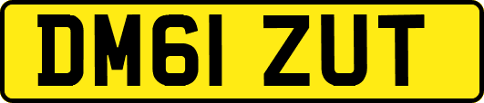 DM61ZUT