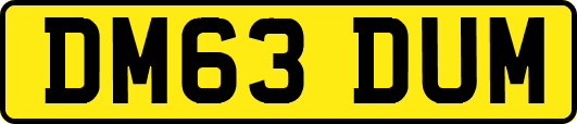 DM63DUM