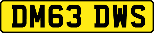 DM63DWS