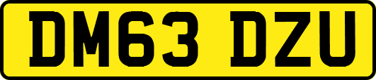DM63DZU