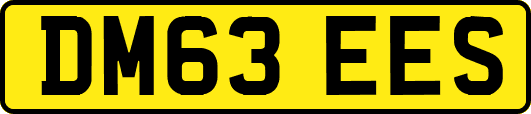 DM63EES